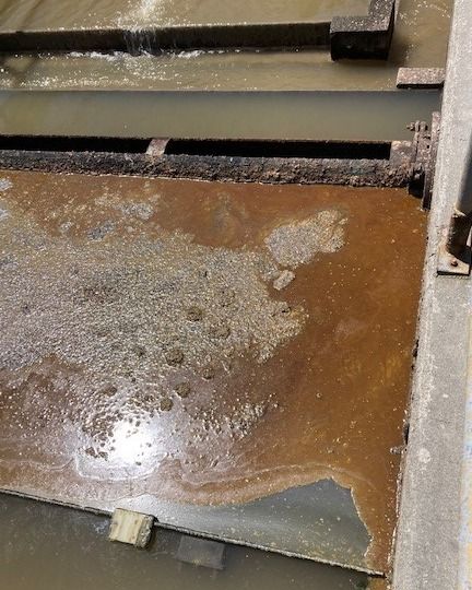 Substance in wastewater