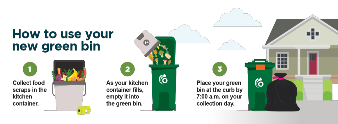 How to use your new green bin infographic. 1. Collect food scraps in the kitchen container. 2. Ask your kitchen container fills, empty it into the green bin. 3. Place your green bin at the curb by 7:00 a.m. on your collection day.