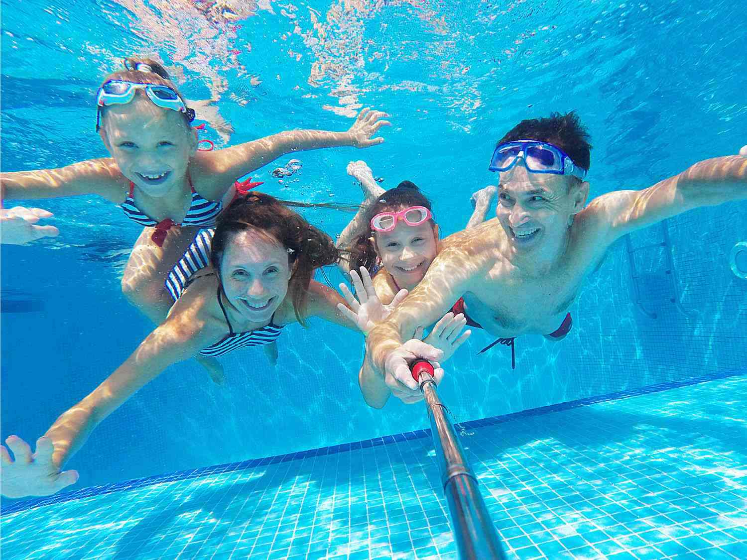 Free Swims